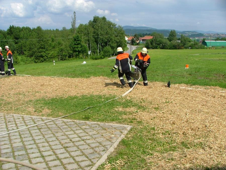 2010-05-29_leistungspruefung_mit_ff_adlwang0098.jpg